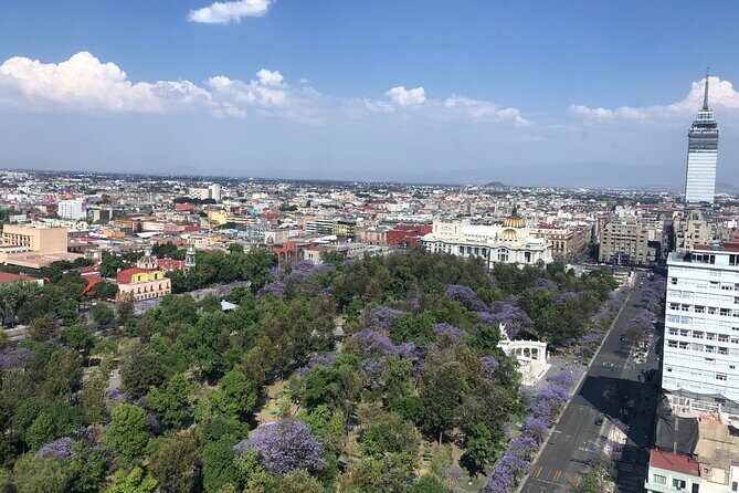 Mexico City Center Private Walking Tour - What the best guides do differently