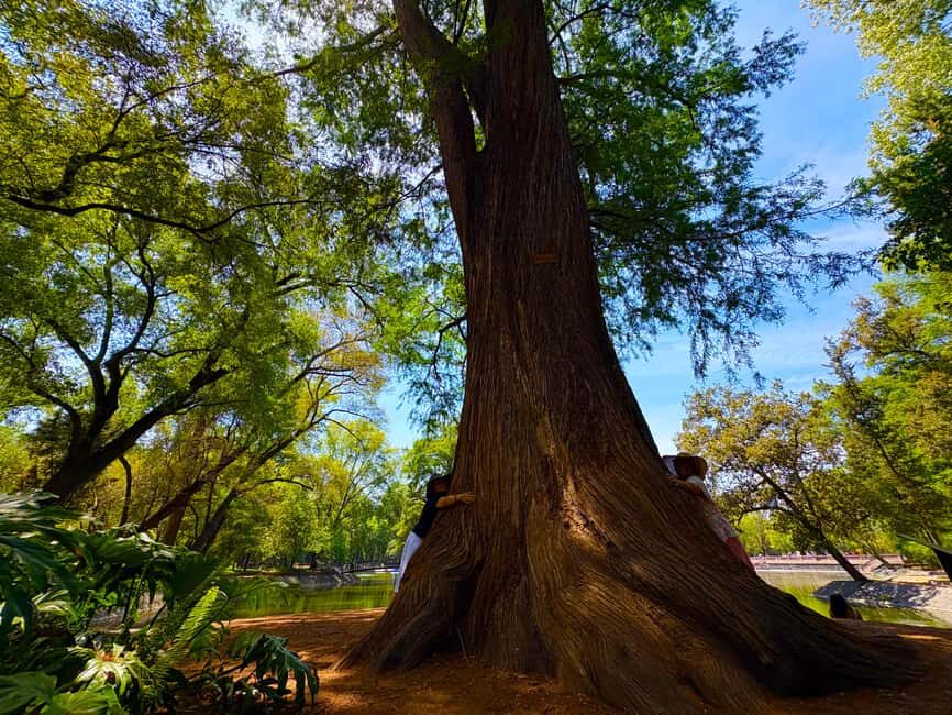 Mexico City: Chapultepec Castle and Forest Guided Tour - Getting the most out of the tour: what to bring and what to skip