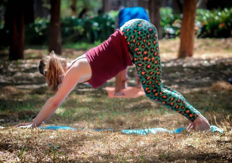 Mexico City: Chapultepec Park Yoga Class with Sound Bath - Key highlights worth waking up for
