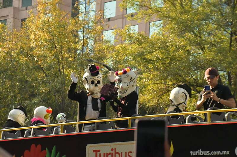 Mexico City: Day of the Dead Guided Tour - Key Things to Know Before You Go