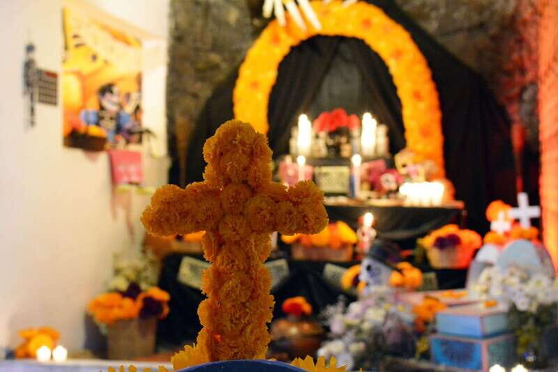 Mexico City: Day of the Dead House and craft workshop - Key things you’ll notice at Casa Día de Muertos and Mexskeletons
