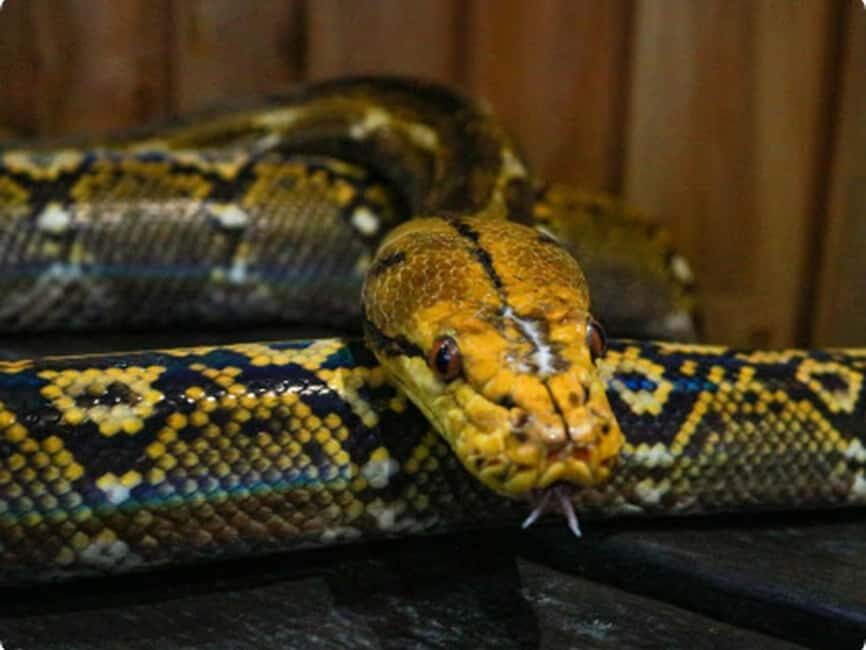 Mexico City: Entry Ticket to Acuario Michin - Ticket validation and entry flow: the one thing that can trip you up