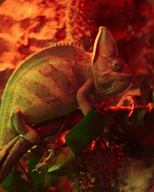 Mexico City: Fast Pass Ticket to Acuarium Inbursa - Key highlights worth planning around