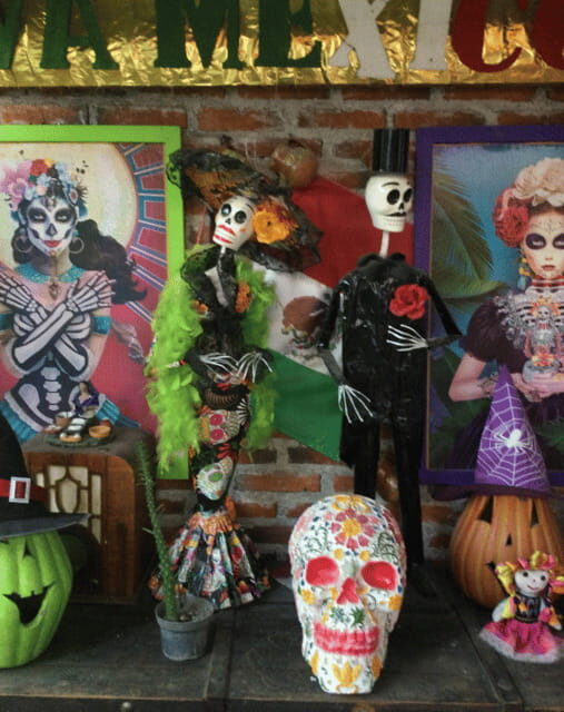 Mexico City: Frida Kahlo, Coyoacán, and Xochimilco Day Tour - Price and value: what $64 covers, and what it doesn’t