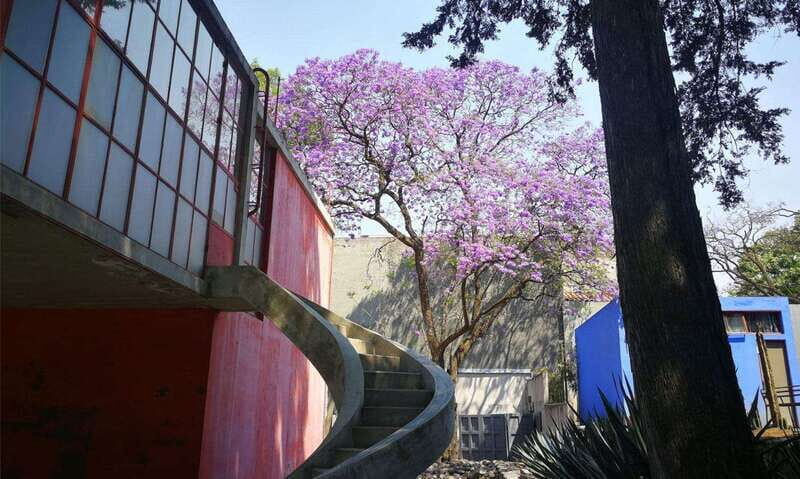 Mexico City: Frida Kahlo-Diego Rivera Studio House Tour - Why this studio house tour beats a DIY visit