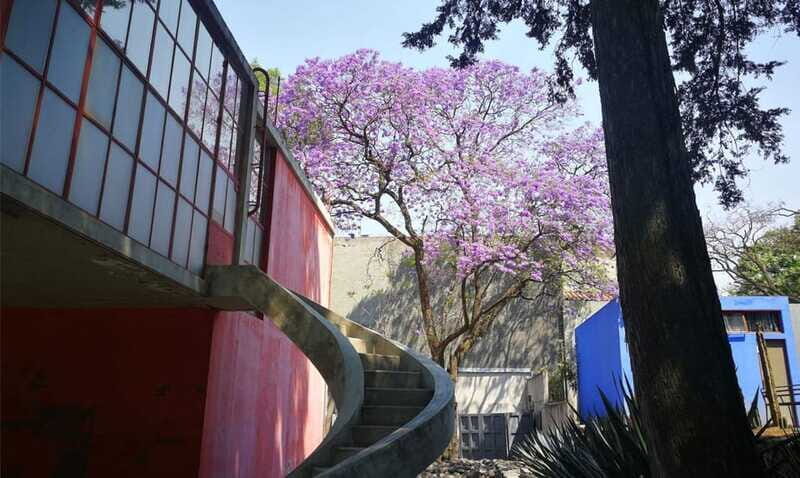 Mexico City: Frida Kahlo-Diego Rivera Studio House Tour - Price and value: what $40 really buys