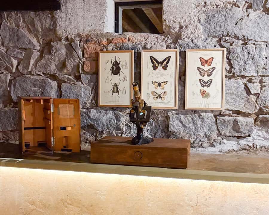 Mexico City: Frida Kahlo Museum Entry Ticket w/Digital Guide - Who should book this, and who might not love it