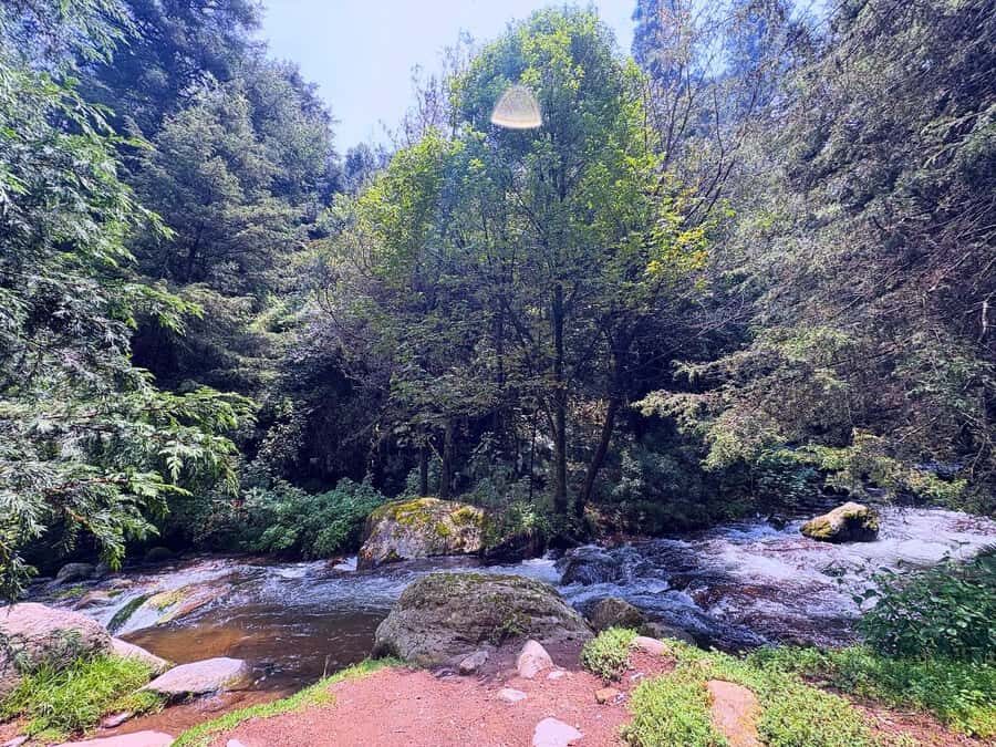 Mexico City: Guided Hike in the Dinamos Forest - Old dynamos ruins: where water power once helped run the city