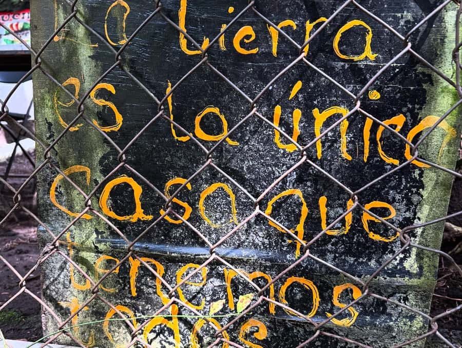 Mexico City: Guided Hike in the Dinamos Forest - Who should book this hike (and who might skip it)