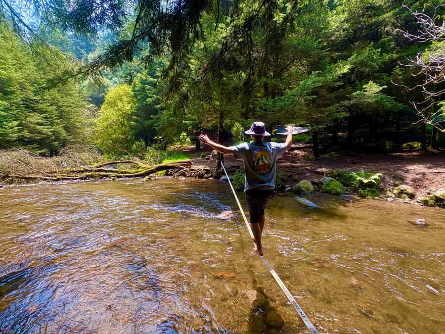 Mexico City: Guided Hike in the Dinamos Forest - The “last living river” and CDMX’s water story you can see