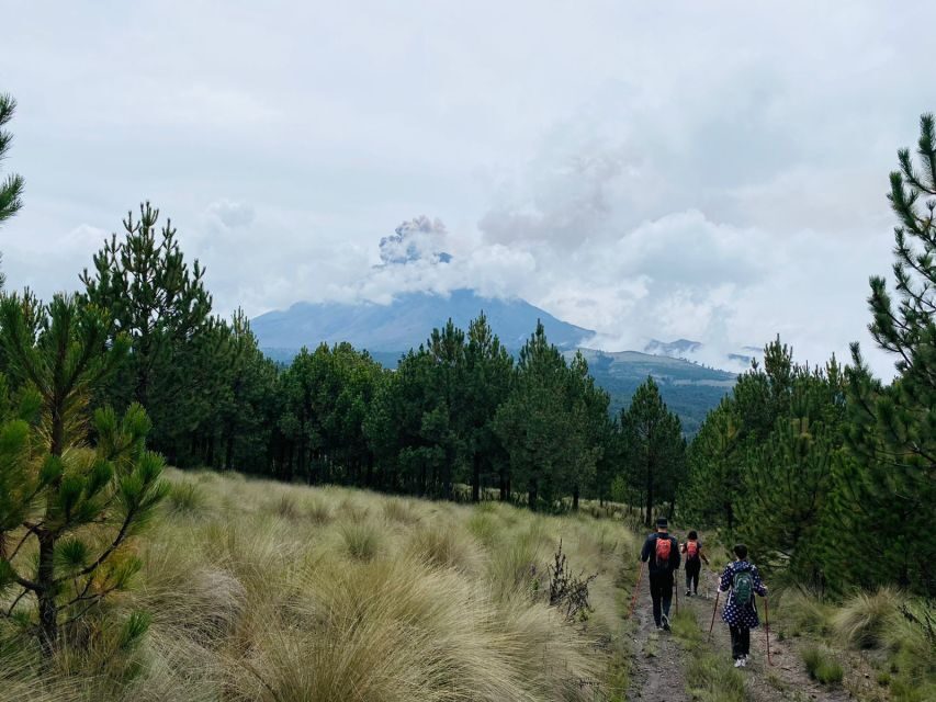 Mexico City: Guided Volcano Trek with Lunch - Small-group value: why 13 people matters