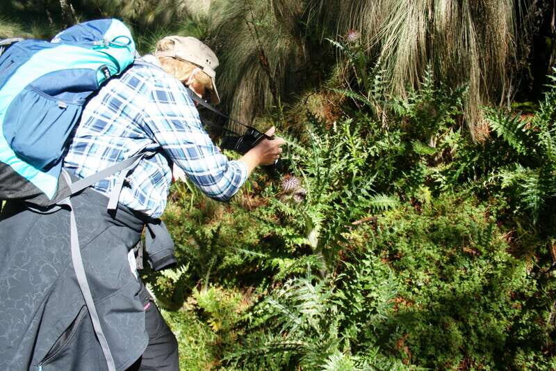 Mexico City: Guided Volcano Trek with Lunch - Escape Mexico City by stepping into the volcano belt