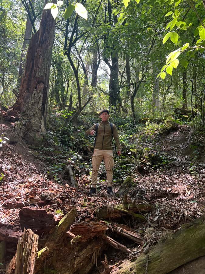Mexico city: Hiking tour to Desierto de los leones - Who This Tour Fits Best