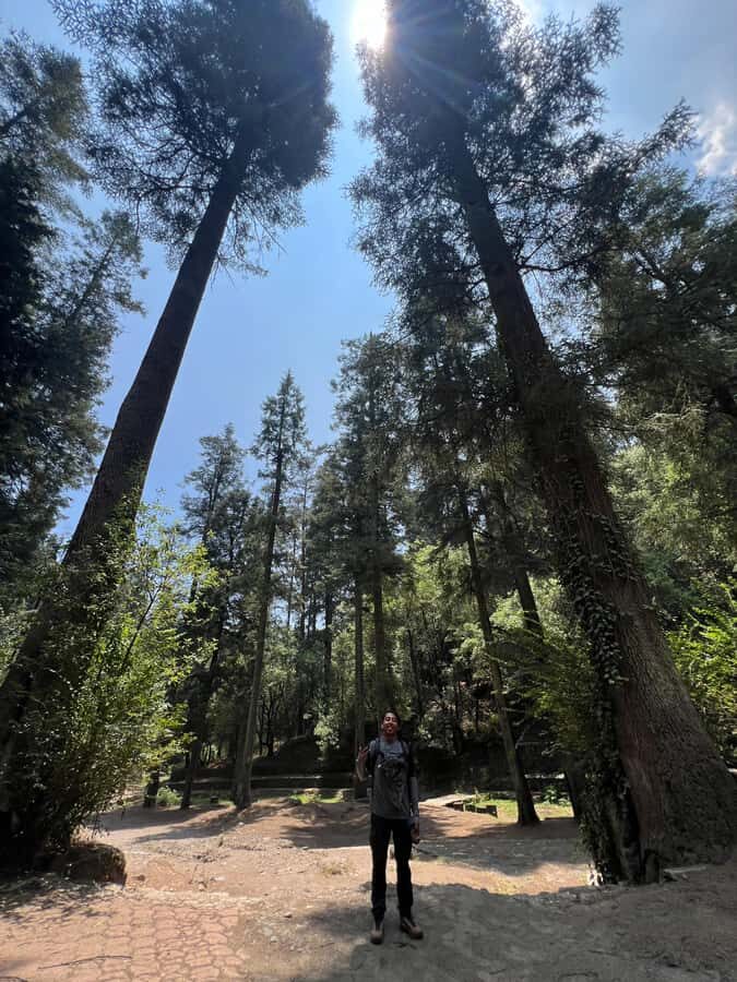 Mexico city: Hiking tour to Desierto de los leones - The Guide and Language Setup