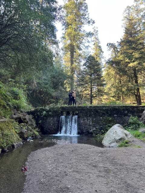 Mexico city: Hiking tour to Desierto de los leones - Meals and Pulque: How the Food Part Works