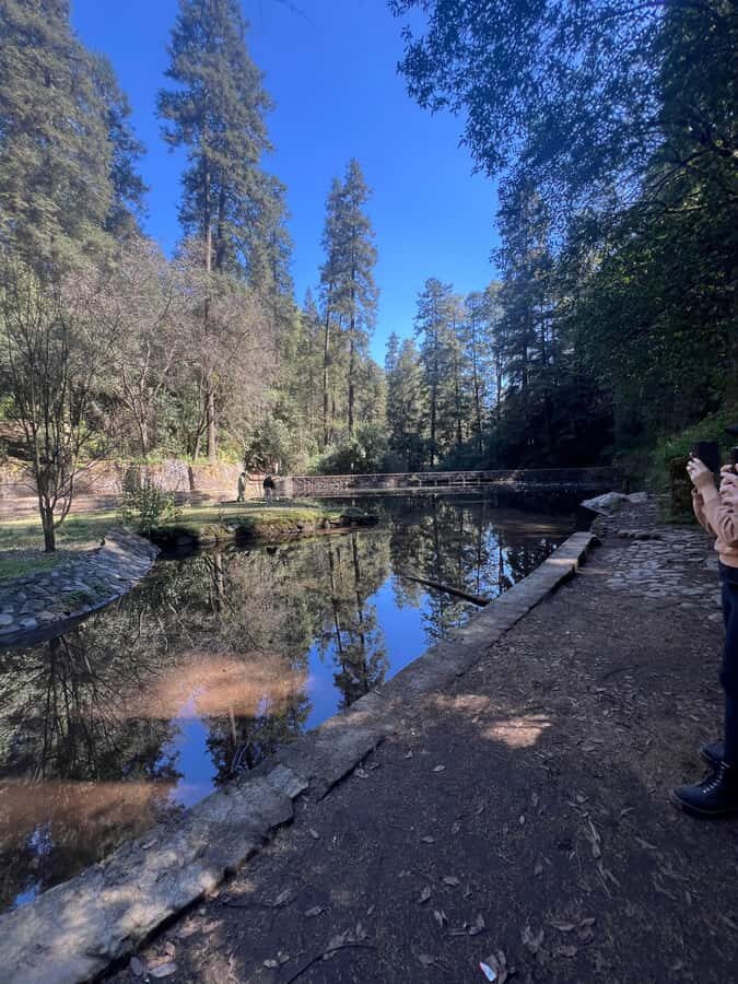 Mexico city: Hiking tour to Desierto de los leones - The 7-Hour Day Plan, Hour by Hour
