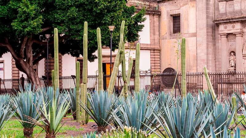 Mexico City: Historic Downtown Walking Tour - Palace of Fine Arts: Architecture That Slows You Down