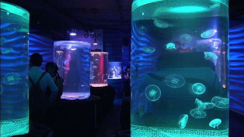 Mexico City: Inbursa Aquarium optional Round trip transfer - The sunken ship and wave simulations: where the tour gets memorable