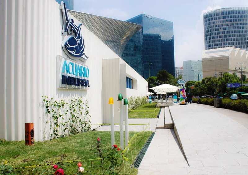 Mexico City: Inbursa Aquarium optional Round trip transfer - Animal lineup you’ll actually recognize: seahorses, sharks, turtles, and more