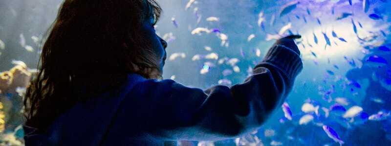 Mexico City: Inbursa Aquarium optional Round trip transfer - Practical tips that make the difference