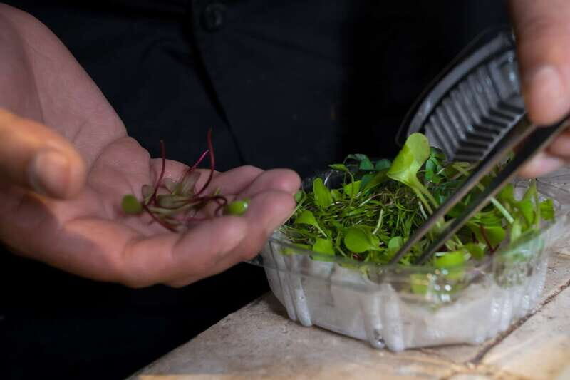 Mexico City: Mexican Cooking Class - Should You Book Mexican Cooking Class in Mexico City?