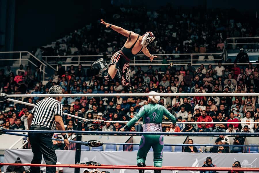 Mexico City: Mexican evening, lucha libre, and tequila - Key highlights worth planning around
