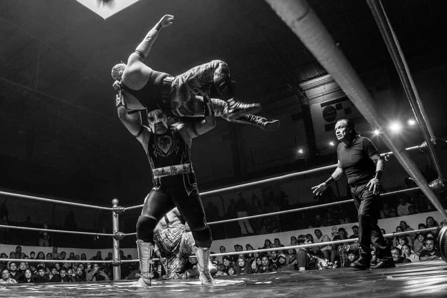 Mexico City: Mexican evening, lucha libre, and tequila - Cantina tastings: tequila, mezcal, and the mask’s real meaning