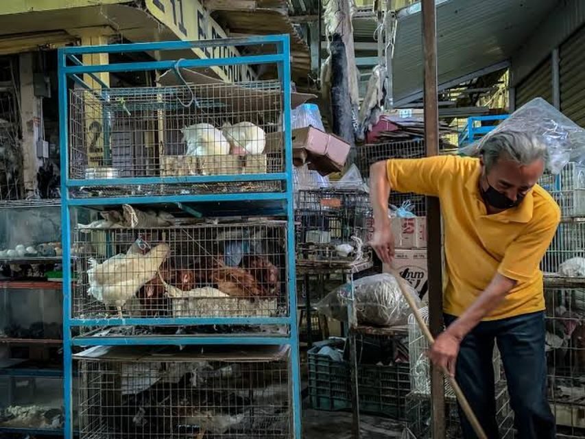 Mexico City: Mystic Markets La Merced & Sonora Culinary Tour - Price and value: what $74 buys you in CDMX market reality