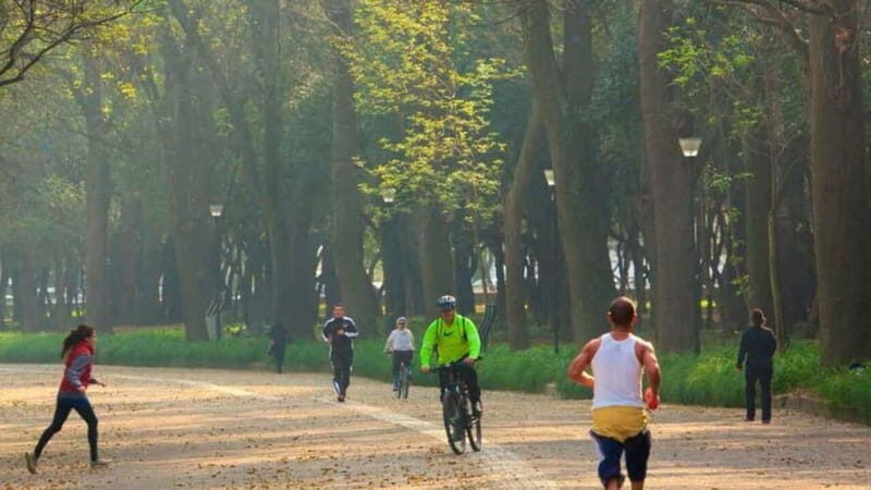 Mexico City: Private Chapultepec Park Bike Tour - Key highlights that make this tour worth your morning
