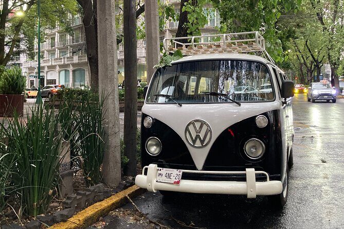 Mexico City PRIVATE Lucha Libre, mezcal & Tacos on a 1975 VW Bus - Stop 1: Tacos al Pastor in La Condesa