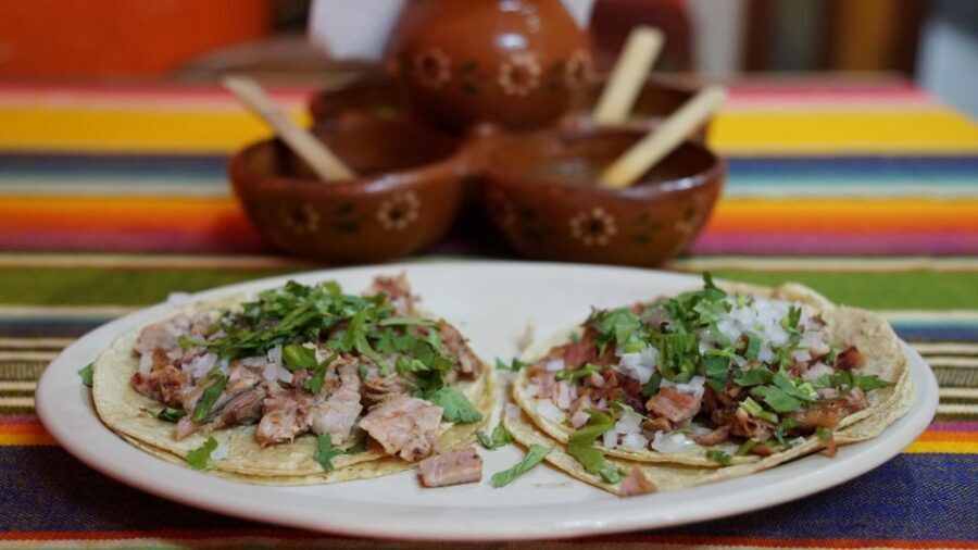 México City: Street Food to Home Cooking Food Tour - How the regional mix changes what you’ll notice