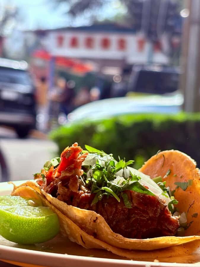 Mexico City: Taco Tour with Michelin Guide Spot & Tastings - Practical Tips So You Don’t Waste a Bite
