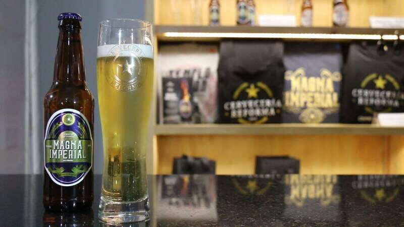 Mexico City Tasting Tour and Craft Beer Experience - Stop 1: Cru Cru Brewery and the Roma spirit