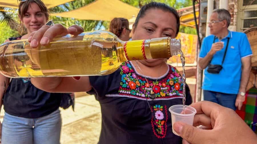 Mexico City: Teotihuacan, Tlatelolco & Guadalupe Shrine Tour - Teotihuacan: Sun, Moon, Avenue of the Dead, and the temples you’ll name