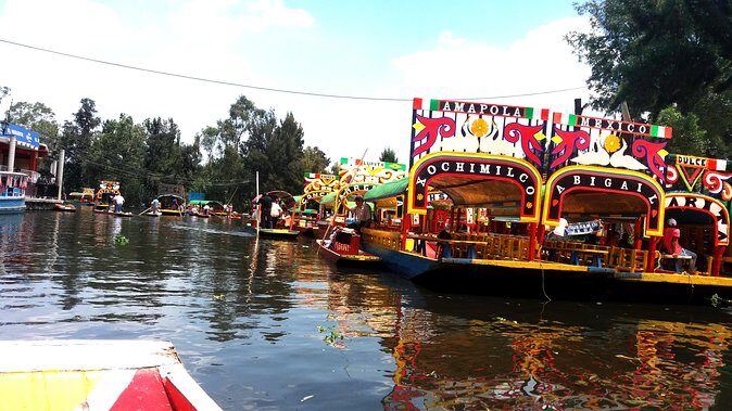 Mexico City Tour And Xochimilco - Xochimilco: Aztec boat rides, birds, and the reality of the canal