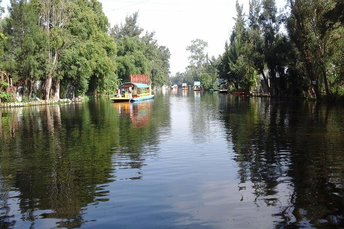 Mexico City Tour And Xochimilco - Mariachis on the canal: how to handle the music without ruining your day