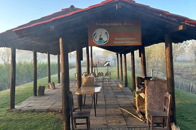 Mexico City: Xochimilco at sunrise + Breakfast and transportation - Kayuko canoe at dawn: canals, light, and volcano views