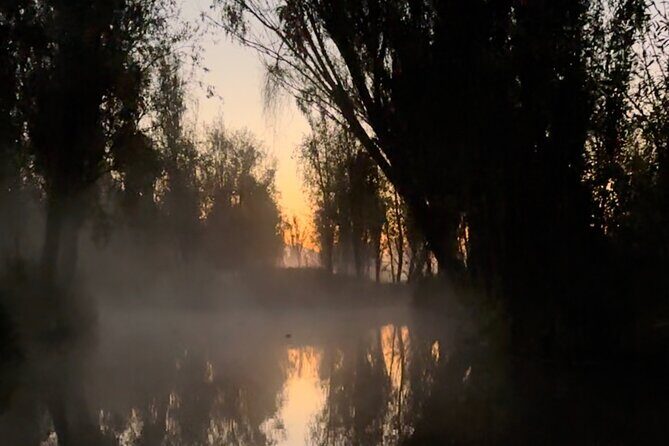 Mexico City: Xochimilco at sunrise + Breakfast and transportation - Chinampa agriculture at 7:00am: breakfast meets education