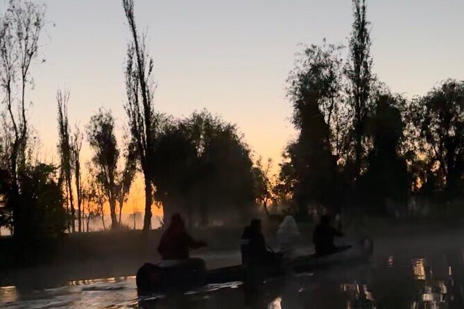 Mexico City: Xochimilco at sunrise + Breakfast and transportation - After breakfast: planting your own plants for sustainability
