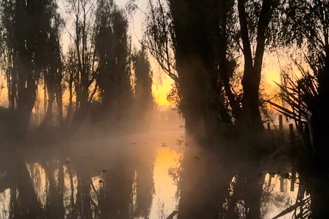 Mexico City: Xochimilco at sunrise + Breakfast and transportation - The return ride: 9:00am back with lighter views