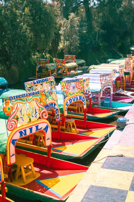 Mexico City: Xochimilco Boat with Guacamole & Premium Drinks - Why Xochimilco feels like a party on the water