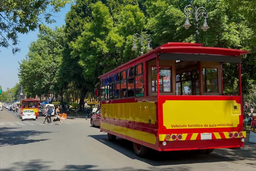 Mexico City: Xochimilco Coyoacan, Frida Kahlo & UNAM Murals - Who this tour suits best (and who should skip it)