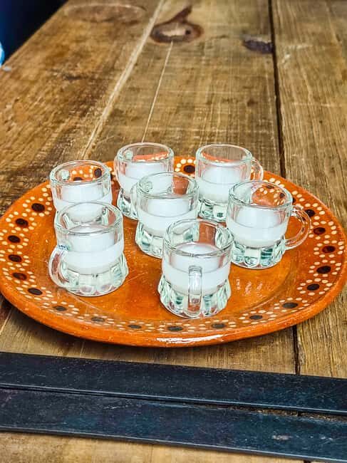 🟢Mexico Off The Beaten Track/ Street Food Bike Tour 🟢 - First Stop Warm-Up: Drink and Bite That Gets You Comfortable
