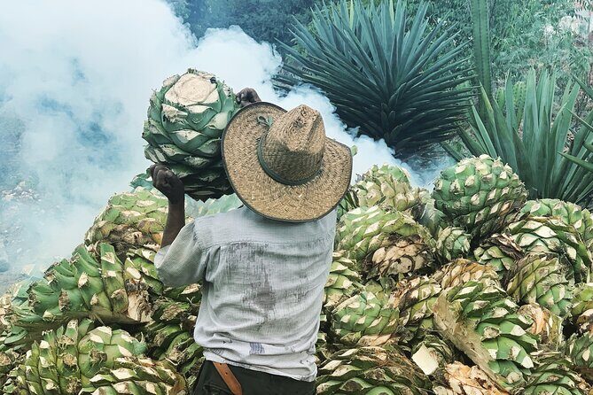 Mezcal Day Experience - Key highlights you should care about