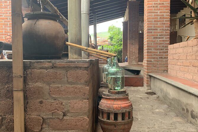 Mezcal Day Experience - San Baltazar Guelavila mountain day: trekking, wild agaves, and a traditional grill meal