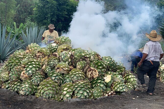 Mezcal Day Experience - Price check: is $267.60 worth it?