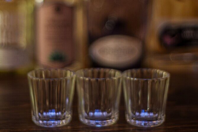 Mezcal Tasting -Masterclass + Blind tasting- - Who should book this mezcal class (and who might skip it)