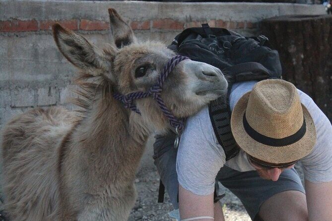 Mezcal Tour Oaxaca - Guides and Group Size: Why Max 10 Travelers Changes Everything