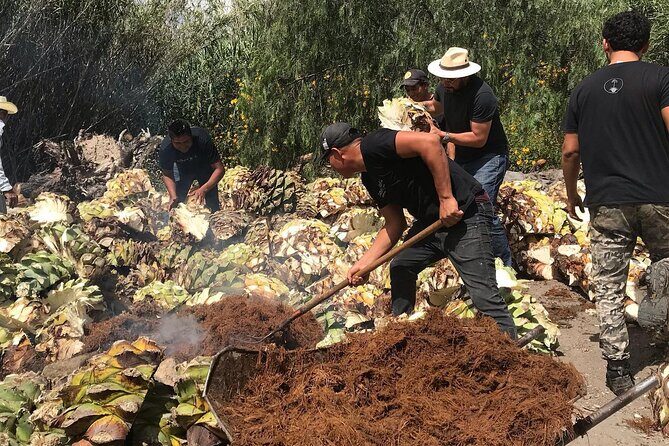 Mezcal Tour Oaxaca - Distillery Visit: Watch Mezcal Production From Plant to Bottle