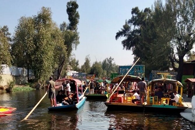Mixology, Food, Wine and Beer Experience in Xochimilco - Timing, transportation, and the small-group feel